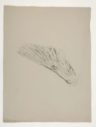 Study of wing for the Infancy of Galahad, from the Quest of the Holy Grail (a series of fifteen paintings for the Boston Public Library, completed in 1901)