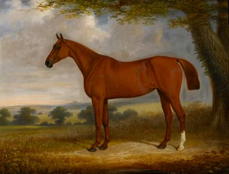 Chestnut Hunter in a Landscape, 1867