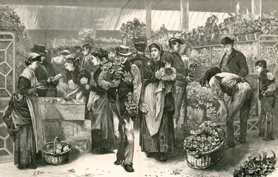 The flower market, Covent Garden, London