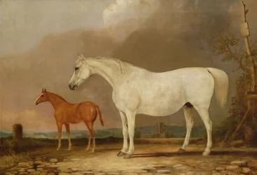 Unknown Image