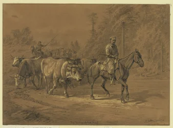 The Leader of the Herd