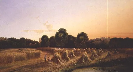 Evening Harvest