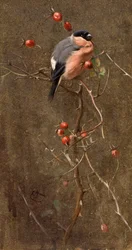 The Bullfinch