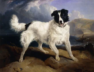 A Portrait of Neptune