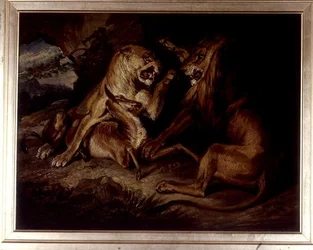Lions at a Kill