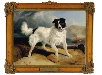 Neptune, the Property of William Ellis Gosling, Esq.