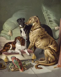 Dash, Hector, Nero, and Lory