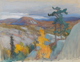 Koli