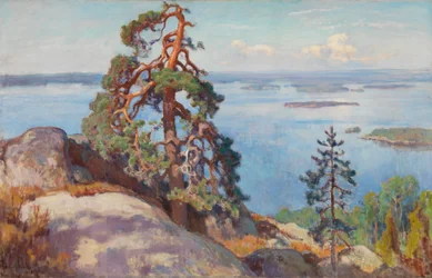 Landscape from Koli