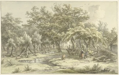 Landscape near Eext (Drenthe)