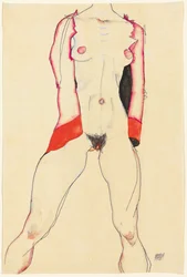 Female Torso