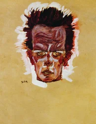 Head