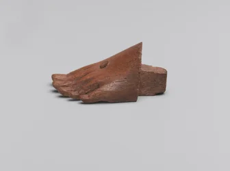 Front part of a left foot