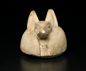 Jackal-Headed Cover of a Canopic Jar