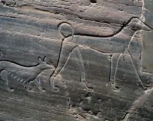 Couple of Dogs, Relief from Entrance, Tomb of Sarenput II, Tombs of Princes, Qubbet el-Hawa, West Bank of Nile at Aswan, Egyptian Civilisation, Middle Kingdom, Dynasty XII