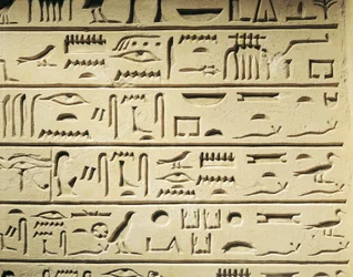 Funerary Stele of Majordomo Khentekhtayaun, Hieroglyphs Reporting List of Relatives of the Deceased