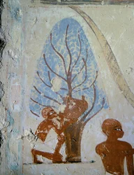 A Peasant Drinks from a Waterskin