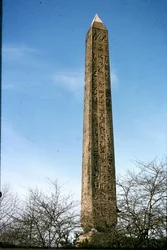 Cleopatra