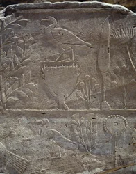 Detail from scene commemorating expedition to Land of Punt