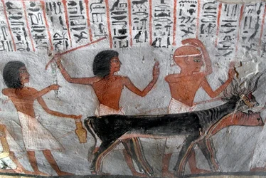 Characters leading betail heads
