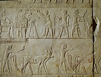 Egyptian antiquity: scenes of work in the fields and offerings to the pharaoh. (detail)