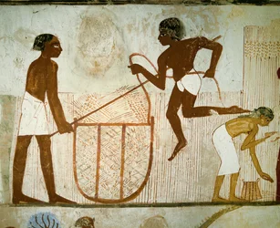 Farmers Carrying Baskets Full of Wheat