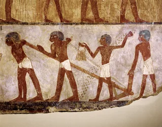 Field Labourers Ploughing by Hand