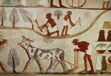 Labours of the Field