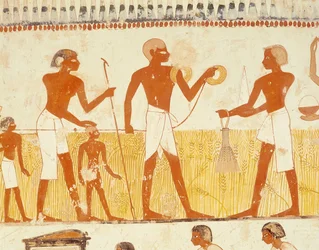 Measuring the Land Using Rope, from the Tomb Chapel of Menna, New Kingdom