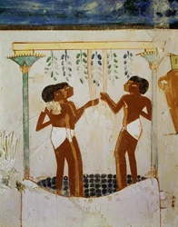 Men trampling grapes, one racking must