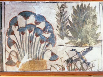 Duck Between Plants, from Palace of Akhenaton, El-Awara, Egypt