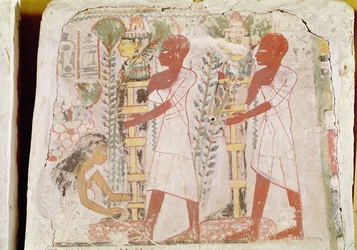 Preparation of two mummies for the purification ceremony, from the tomb of Merymaat, New Kingdom