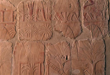 Village with Huts, Scenes of Punt Kingdom, South Wall of Central Colonnade, Mortuary Temple of Hatshepsut, Deir el-Bahari, Theban Necropolis