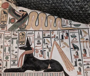 Anubis and Cobra