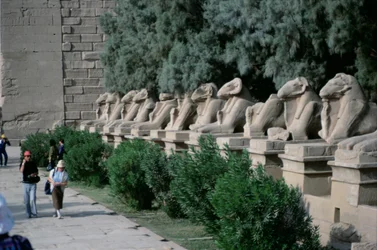 Avenue of ram-headed sphinxes lining the Processional Way to the Great Temple of Amun, New Kingdom