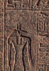 Depiction of Anubis, (detail), Amenhotep