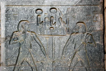 Egyptian Antiquity: Detail of the Base of the Statue of Pharaoh Ramses II Representing the Union of Upper and Lower Egypt. Temple of Luxor, East Bank (Thebes), Egypt