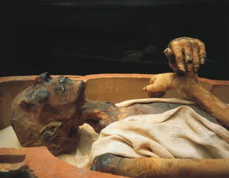 Mummy of Ramses II (detail)