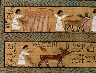 Reaping and Ploughing, Detail from a Depiction of Farming Activities in the Afterlife, from the Book of the Dead of the Scribe Any