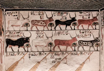 Tomb of Nefertari