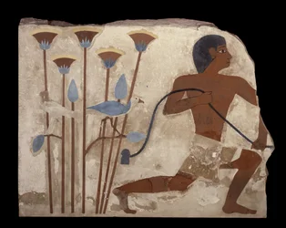 Bird Snaring, relief from the Tomb of Nefermaat, Old Kingdom, c.2620 BC