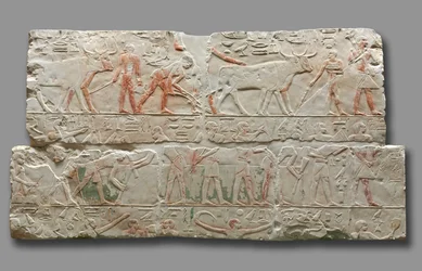 Relief of Agricultural Scenes from Saqqara
