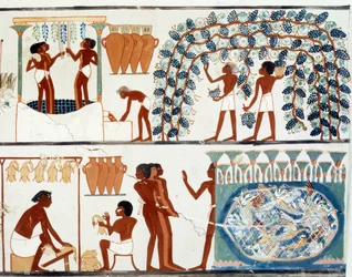 Egyptian art: Picking and treading grapes. Tomb of Nakht, period of Amenophis II (ca. 1450-1425 BC). Paris, Collège de France