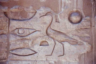 Hieroglyphics from a Column, Luxor Temple