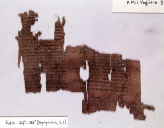 Literary Papyrus: 