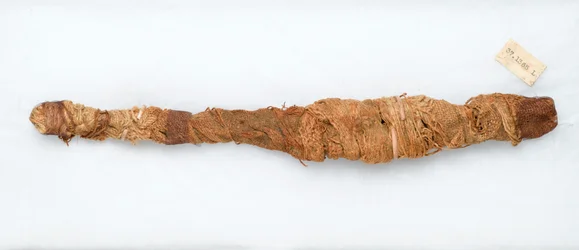 Mummy of a crocodile, found in Manfalont, 305-30 BC