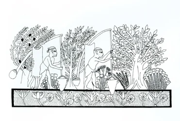 An ancient Egyptian garden