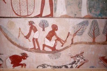 Scene of agriculture (mowing and cutting wood), from the Tomb of Scribe Menna, Egypt, Sheikh Abd el-Qurna, Valley of the Nobles
