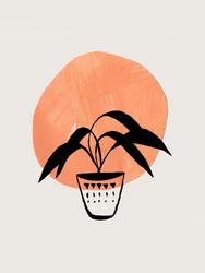 Boho Potted Plant