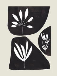 Organic Abstract Botanicals